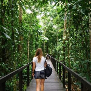 Cahuita National Park Hiking Tour. Traveler walking on a wooden boardwalk during a Cahuita National Park hike in Costa Rica rainforest
