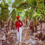 Tortuguero Canal Eco Cruise Banana Plantation Tour