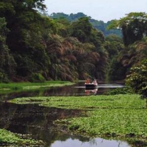 Tortuguero Canals Tour