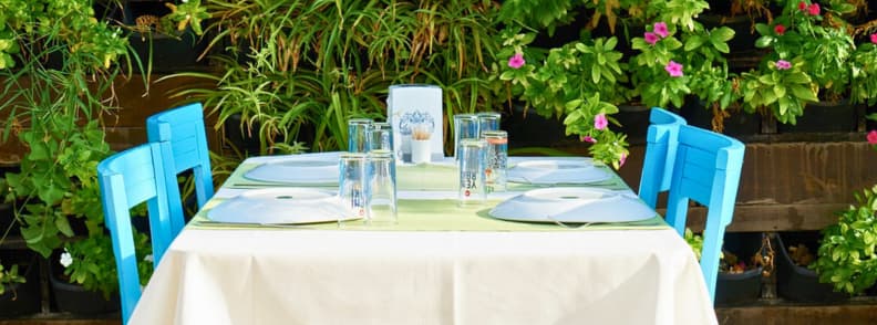 bulgarian traditional drink raki bulgarian traditional drink