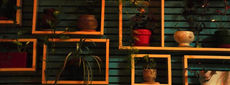 Radio Bar Tirana Courtyard Terrace Plants Blloku Potted plants displayed in geometric wooden frames along the covered courtyard wall at Radio Bar Tirana in Blloku.