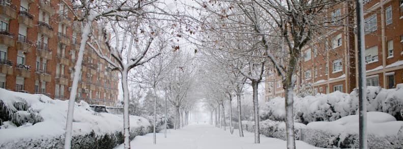 Snow-covered residential street in Madrid lined with trees and apartment buildings