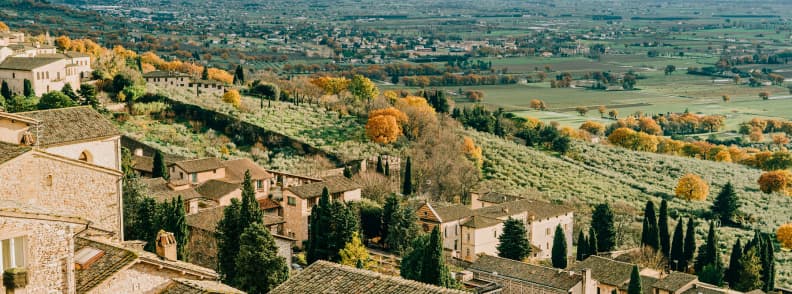 Assisi Umbria Italy fall travel olive harvest season Autumn view over Assisi Italy with olive groves, cypress trees, and medieval rooftops surrounded by golden hills in Umbria