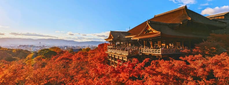 Kiyomizu-dera Temple surrounded by red autumn leaves overlooking Kyoto Japan at sunset