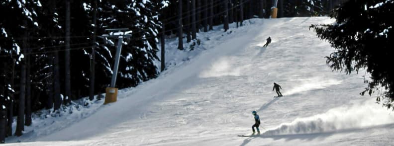 Bansko Bulgaria Ski Slopes Forest Pistes Winter Guide Skiers carving down a forest lined piste in Bansko on a clear winter day.