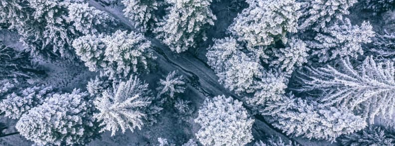 Borovets Forest Runs Bulgaria Winter Trails and Ski Resort Guide Aerial view of snow covered pine trees forming a narrow forest run in Borovets during winter.