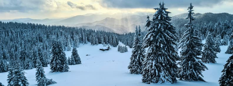 Where to Stay in Pamporovo Best Hotels and Slope Access Snow covered forest in Pamporovo with soft light over the mountains and a small cabin in the distance.