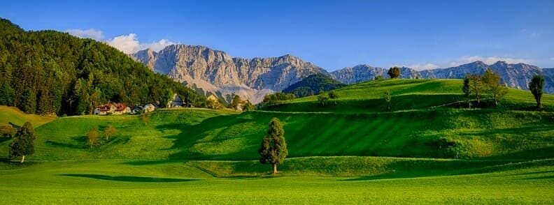 carinthia province meadow