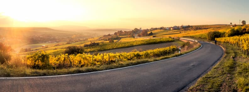 country road sunset mölsheim germany