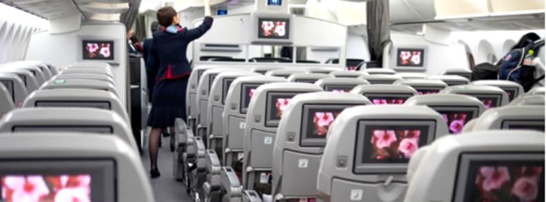 flight attendants in plane