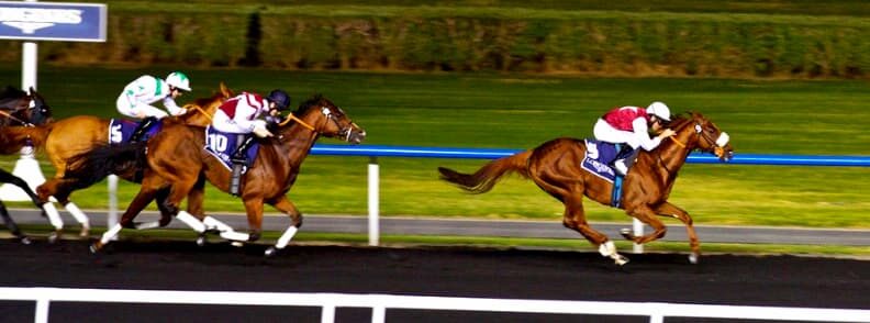 horse racing dubai budget travel horse racing dubai budget travel