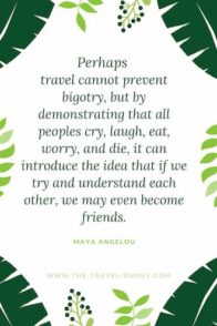 insightful quote about traveling maya angelou Perhaps travel cannot prevent bigotry, but by demonstrating that all peoples cry, laugh, eat, worry, and die, we can introduce the idea that if we try and understand each other, we may even become friends. maya angelou www.the-travel-bunny.com text over drawings of leaves