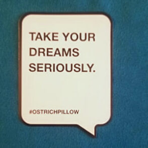 ostrichpillow motto