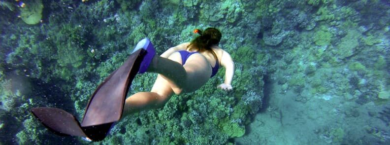 snorkeling marathon day trip from athens snorkeling marathon day trip from athens