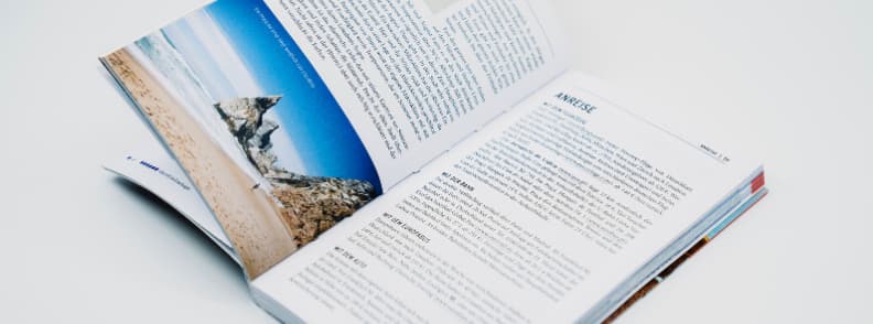 travel guides the travel bunny