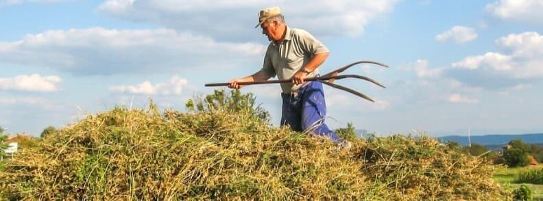 traveling to bulgaria and meet locals