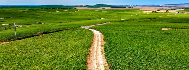 vineyards champagne places away from Paris