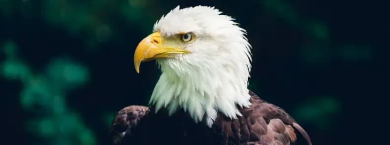 visit aurora illinois zoo visit aurora illinois zoo