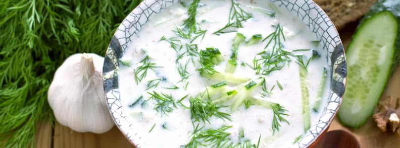 what to eat in bulgaria tarator soup what to eat in bulgaria tarator soup