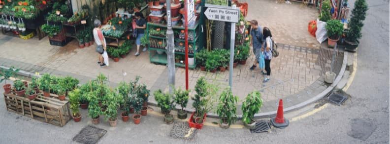 flower market road hong kong on a budget