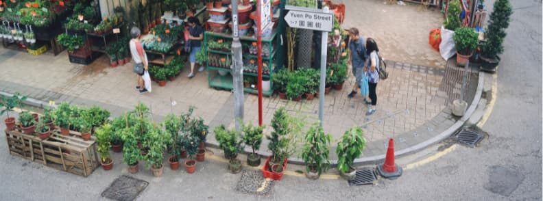 flower market road hong kong on a budget flower market road hong kong on a budget