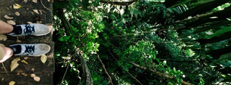 costa rica zipline