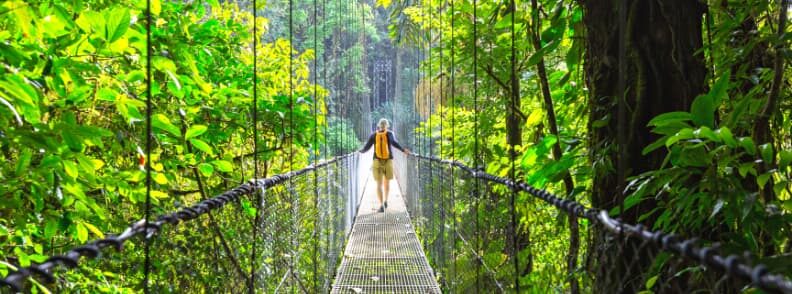 enter costa rica cloud forest