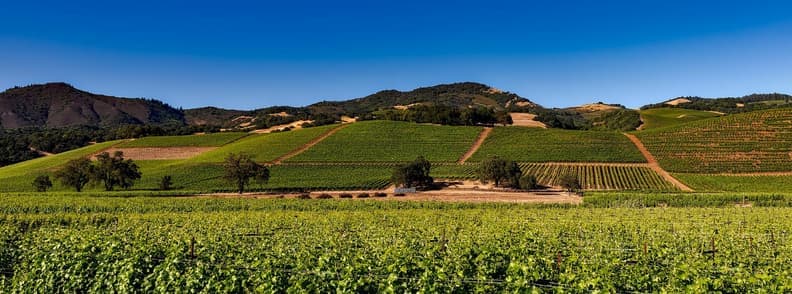 when to visit napa valley california