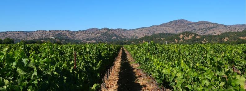 yountville where to stay napa valley