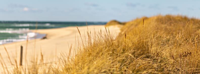 best things to do on nantucket island hike