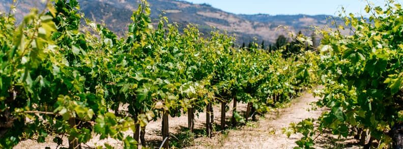 popular non-beach vacations napa valley us