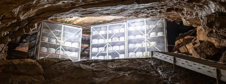 somerset cheddar cheese maturing in cave