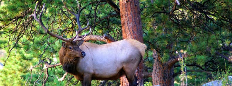 Rocky Mountains Colorado thrill seeking adventures