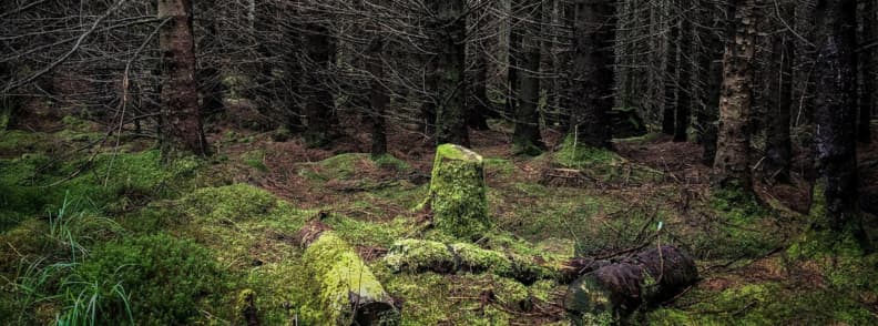 west highland way hiking scotland