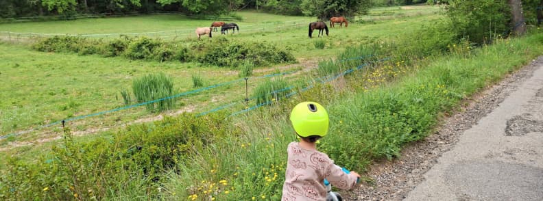 Family Walk Chemin des Rouvieres Bagnols en Foret Provence Toddler wearing a bright green helmet riding a balance bike along Chemin des Rouvières in Bagnols-en-Forêt, with grazing horses and green meadows beside the countryside path.