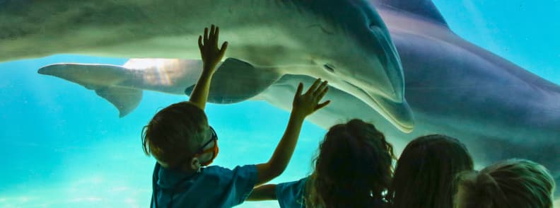 clearwater aquarium guide