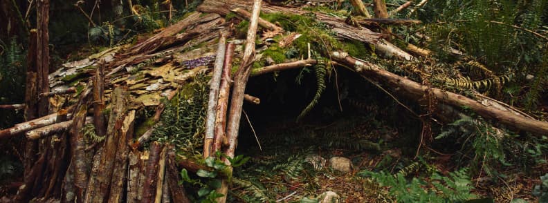 wilderness survival guide building a shelter