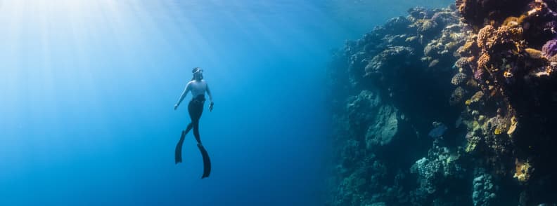 great barrier reef dive check