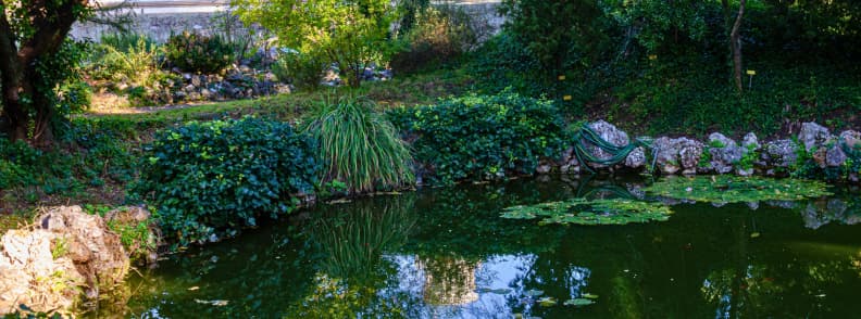 botanical garden pisa off the beaten path Shaded pond surrounded by plants and trees inside the Botanical Garden Pisa with a hammock and lily pads