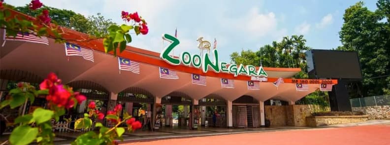 top things to do in KL zoo negara kuala lumpur malaysia top things to do in KL zoo negara kuala lumpur malaysia