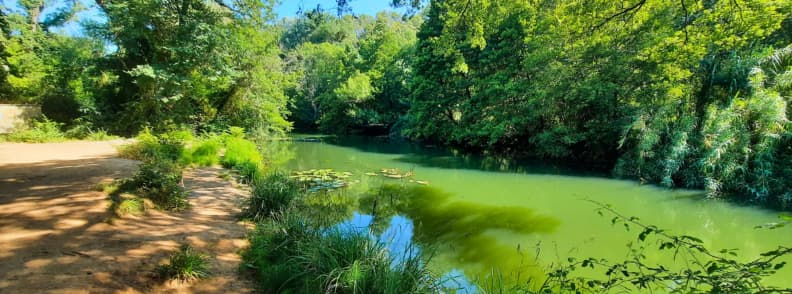 Caramy River Near Carces Peaceful Spot Along the Hiking Trail Caramy River with calm green water and surrounding forest along the hiking trail near Carcès
