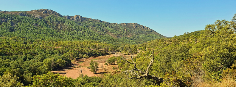 Drought dry riverbed Ravin du Gratadis Esterel Massif Saint Raphael Wide view of a dry riverbed and parched valley floor below pine covered hills in the Estérel Massif near Saint-Raphaël seen from the path to Ravin du Gratadis