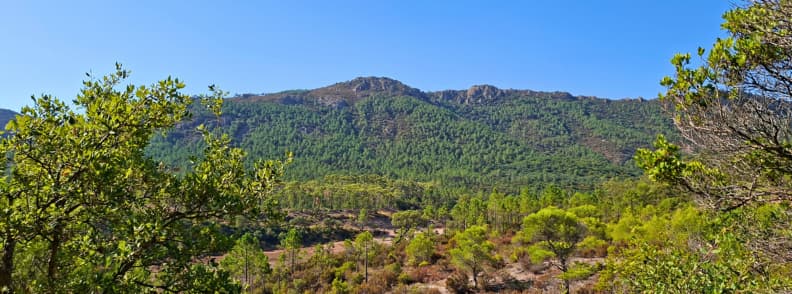 Early trail view Ravin du Gratadis Esterel Massif Saint Raphael Panoramic view of pine covered slopes and a red porphyry ridge at the start of the Ravin du Gratadis trail from Col de Belle Barbe in the Estérel Massif near Saint-Raphaël