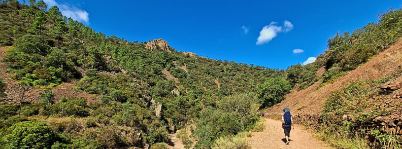 Family hike Ravin du Gratadis Col Aubert loop Esterel Massif trail with toddler Hiker with a child carrier walking a wide red gravel track in the Ravin du Gratadis toward Col d’Aubert, pine covered slopes under a clear sky in the Estérel Massif near Saint-Raphaël