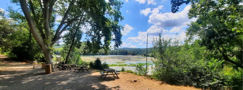 Picnic Area at Lac de Carces Near Domaine de Brauch in Provence Verte Shaded picnic tables by Lac de Carcès near Domaine de Brauch Maison de la Pêche & de la Nature in Provence Verte