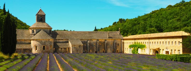 Senanque Abbey Lavender and Cistercian Heritage in Provence View of Sénanque Abbey in Provence surrounded by blooming lavender fields in summer