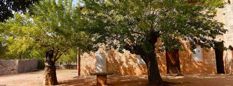 Shaded Forecourt of Abbaye du Thoronet Visitor Rest Area Provence Shaded area with trees and stone benches outside the church entrance at Abbaye du Thoronet in Provence