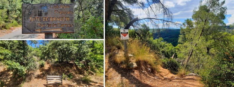 Site de Brauch Near Domaine de Brauch Rock Climbing and VTT Trails by Lac de Carces Trail signs and forest paths at Site de Brauch near Domaine de Brauch by Lac de Carcès