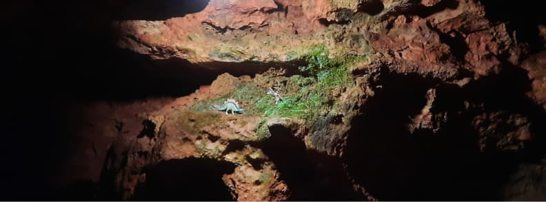Saint Cezaire cave dinosaurs hidden feature Dinosaur figurines hidden on a ledge inside Saint Cezaire cave with red limestone walls and greenery