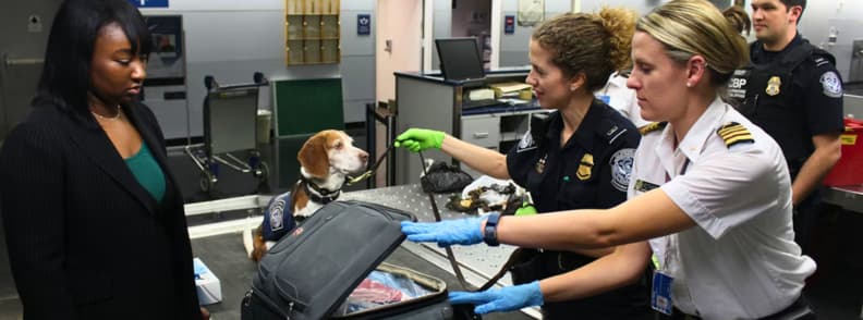 International travel insurance baggage and document protection Airport security officers inspecting luggage during an international travel baggage check